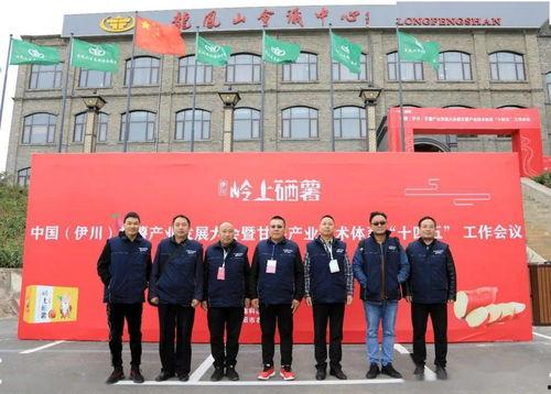 河南都市爆料伊川新闻,河南都市爆料揭示当地热点事件